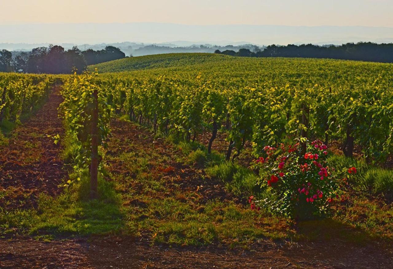 Agriturismo Fattoria Il Piano - Casa Bugno - San Gimignano Villa Eksteriør bilde